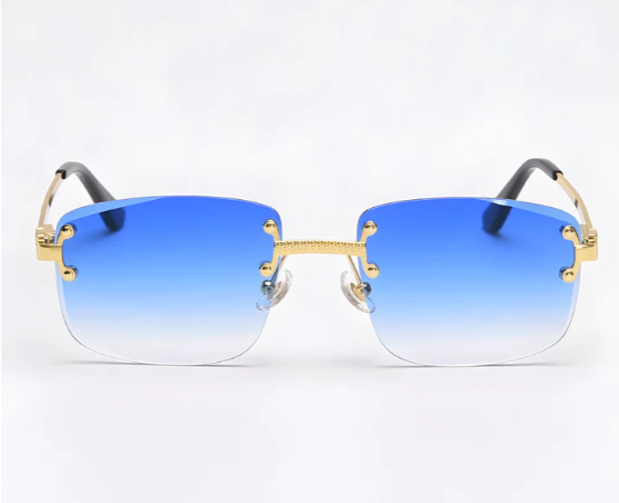 Men's Bleu sunglasses