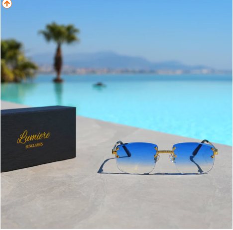 Men's Bleu sunglasses